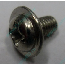Компьютерный винт "малый" PW-M3x6mm (Щелково)
