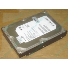 HP 250G 7.2k 432337-001/ 399699-001 / 397377-004 SATA HDD (Щелково)