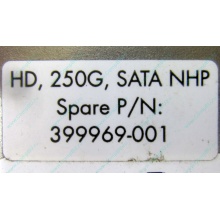 HP 250G 7.2k 432337-001/ 399699-001 / 397377-004 SATA HDD (Щелково)