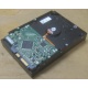 Жесткий диск HP 250Gb 7200 rpm 432337-001/ 399699-001 / 397377-004 (Щелково)