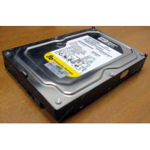 Жесткий диск 160Gb WD WD1602ABKS SATA (Щелково)