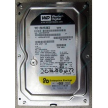 Жесткий диск 160Gb WD WD1602ABKS SATA (Щелково)