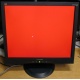 Монитор 19" ViewSonic VA903b (1280x1024) есть битые пиксели (Щелково)