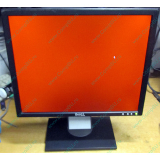 Dell E197F P в Щелково, монитор 19" TFT Dell E197FPb (Щелково)