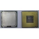 Процессор Intel Celeron D 336 (2.8GHz /256kb /533MHz) SL98W s.775 (Щелково)