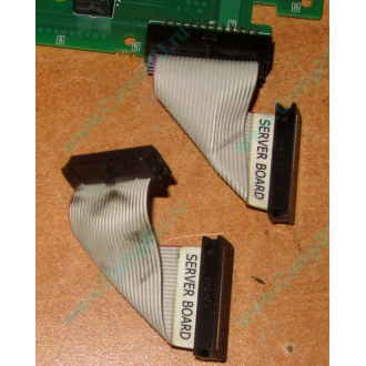 6017B0045701 Шлейф 24 pin для Intel C74974-401 T0043401-B01 корпуса SR2400 (Щелково)