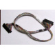 Intel 6017B0045301 в Щелково, 68 pin SCSI кабель 26.5" / 57см для корзины HDD корпуса SR2400 (Щелково)